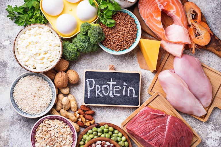 meat eggs fish and nuts in a circle around a chalk sign with protein written on it.